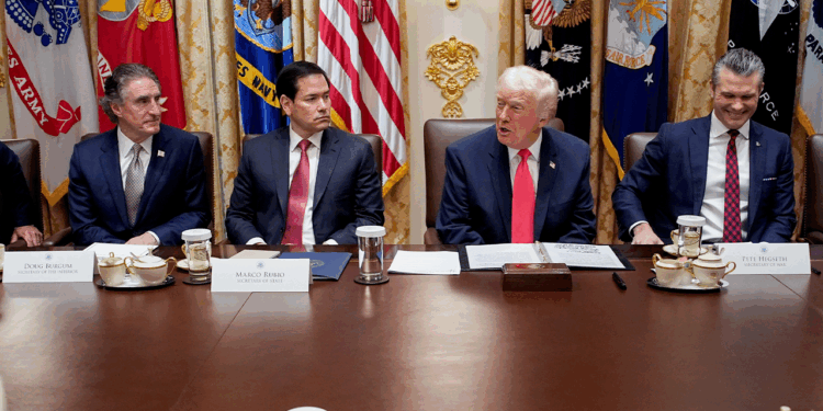 Conservatives reveal true feelings on Trump admin and cabinet members