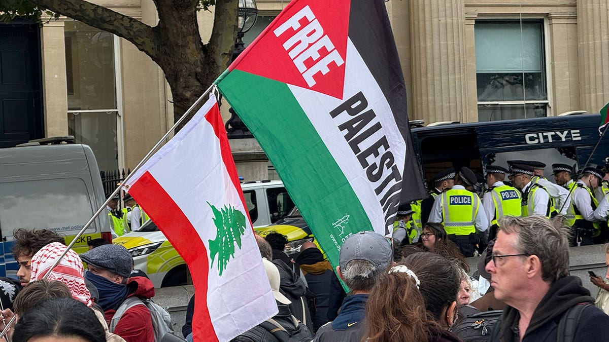 Free Palestine flag flies in London