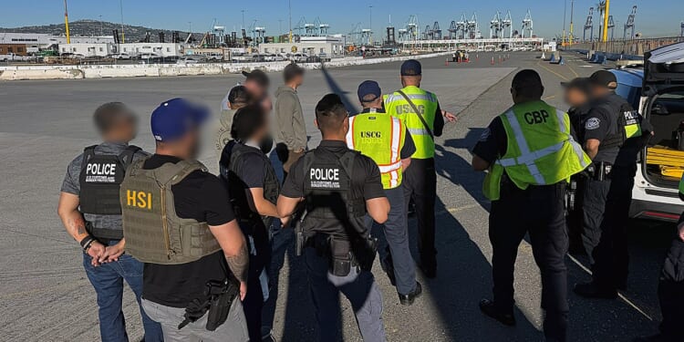 ICE arrests 100+ illegal alien truck drivers in California operation