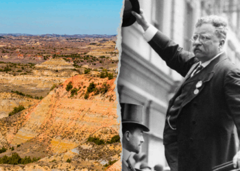 President Theodore Roosevelt comes to life via AI at namesake park