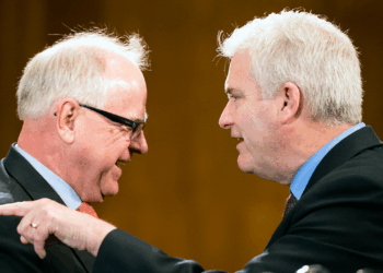 Minnesota video shows alleged multi-million daycare fraud under Walz