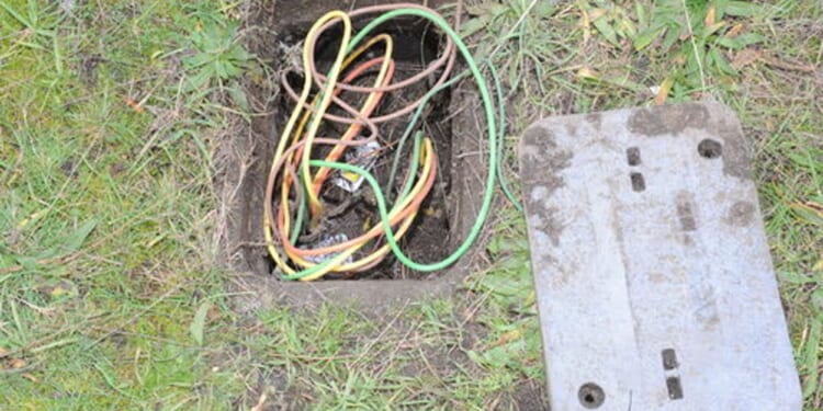 Urban Disorder: Petty Theft Leads to Fatal Crash in Portland