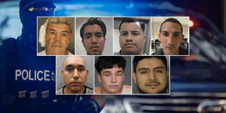 10 most violent criminal illegal immigrants arrested in 2025