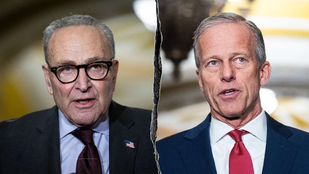 Senate Minority Leader Chuck Schumer, D-N.Y., and Senate Majority Leader John Thune, R-S.D., split