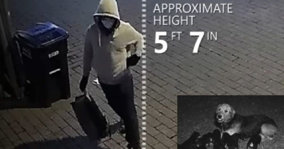 Surveillance image of a person approximately 5 feet 7 inches tall, wearing a hoodie and mask, carrying a bag near a trash can.