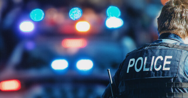 California Couple Shot Dead in Driveway