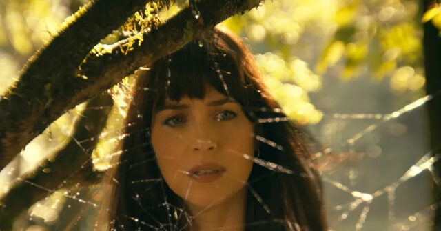 Cinema in U.S. 'Feels Really Grim Right Now,' Calls Netflix-WBD Merger a 'Rebirth'