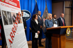 DC Pipe Bomb Arrest Raises Questions About Wray's FBI