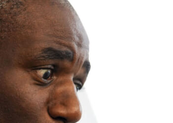 David Lammy Kicks Off Push To Overturn Brexit