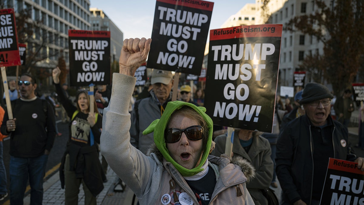 Older woman raises fist during protest in Washington, D.C.