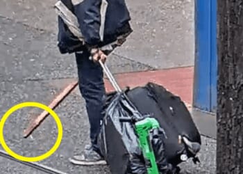 Felon previously convicted for assault accused of swinging stick with metal screw on the end, bashing elderly woman in face