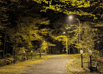 GA Woman Targeted in Horrific 'Acid Attack' at Savannah Park