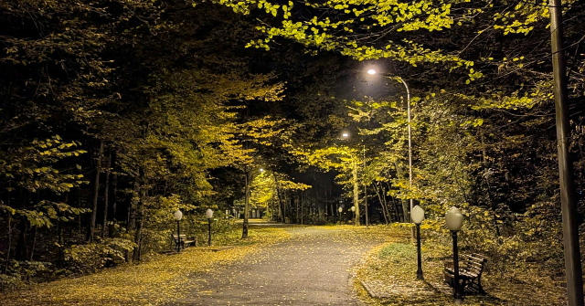 GA Woman Targeted in Horrific 'Acid Attack' at Savannah Park