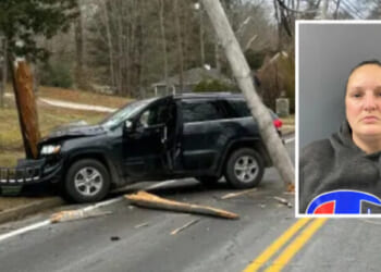 Grammy Nominated Musician Roderick MacLeod Killed By Driver with More than 100 Arrests