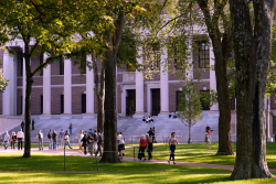 Harvard Says Yes to Discrimination, No to Western Civ