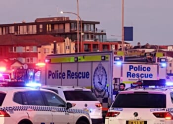 Heroic Bystander Tackles, Disarms Terrorist Gunman at Bondi Beach