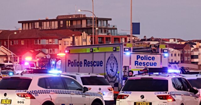 Heroic Bystander Tackles, Disarms Terrorist Gunman at Bondi Beach