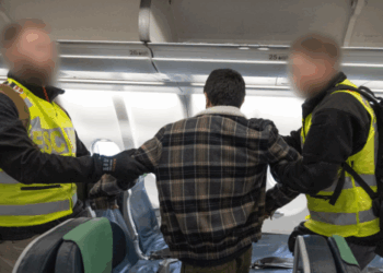 Homeland Security's Tricia McLaughlin Rips WashPost for Ignoring $279M Savings from 'Air-ICE' Jet Fleet