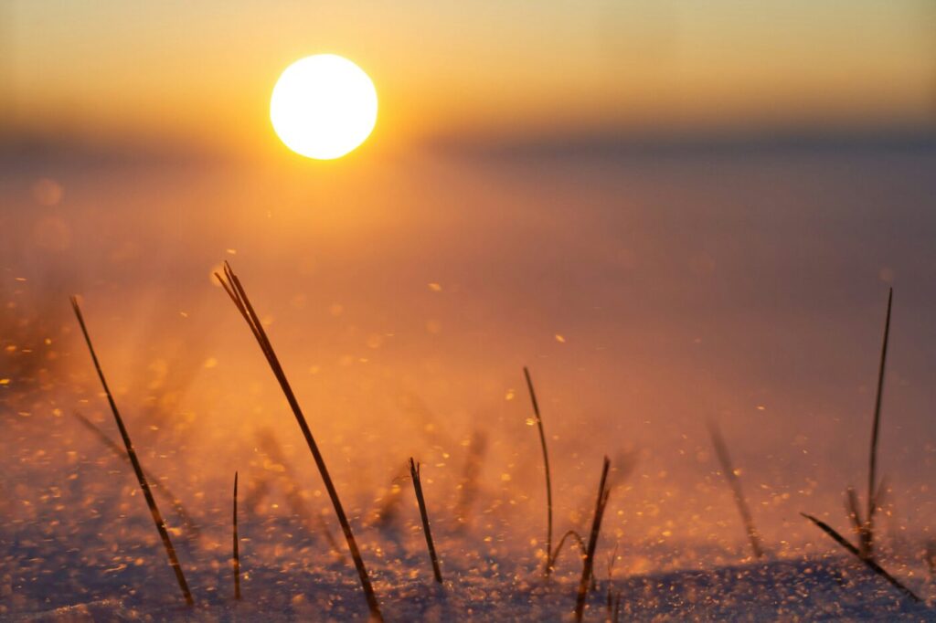 Experience the Abiding Joy of Salvation