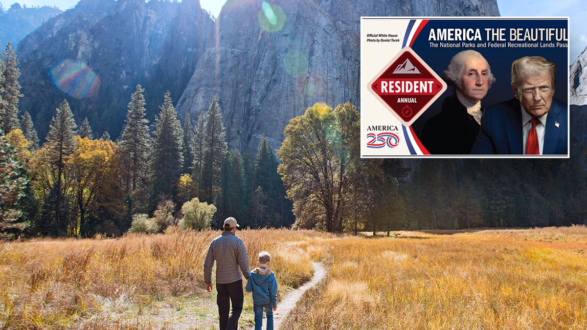 father and son at national park, trump and george washington america the beautiful national park pass