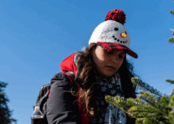 Leftist Portland's 'Tree' Lighting Ceremony Avoids Saying the Word 'Christmas'