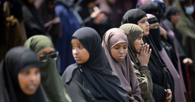 Massive Welfare Fraud by Somali Migrants in Ohio