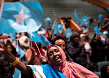 'Nearly Every' Somali Household with Children Is on Welfare