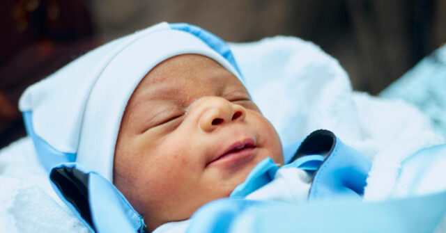 Newborn Surrendered to Safe Haven Baby Box in Montgomery, Alabama