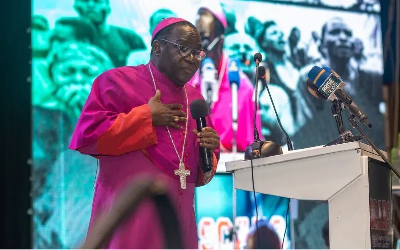 Nigerian foundation defends Catholic bishop after remarks about Christian genocide – Catholic World Report