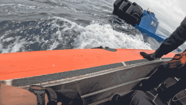 Operation Pacific Viper