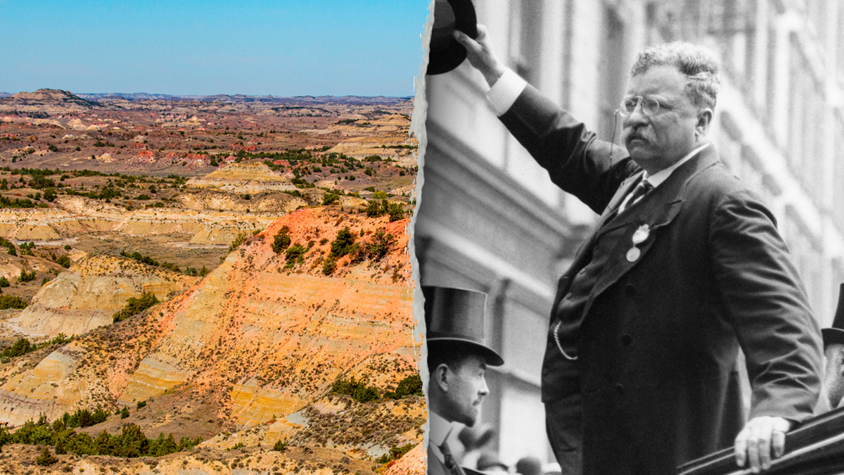 Teddy Roosevelt national park and person