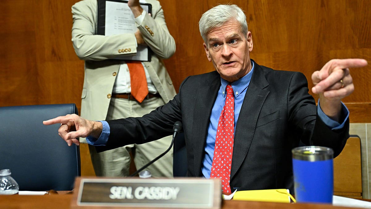 Sen. Bill Cassidy, R-La., speaks at a committee hearing.