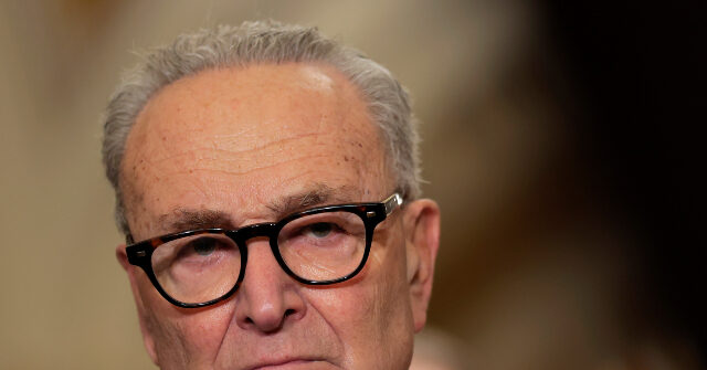 Sen. Schumer Pushes More Gun Laws After Brown University Pistol Attack