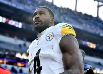 Steelers WR DK Metcalf Suspended Two Games for Punching Fan