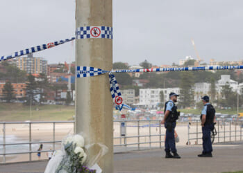 Syrian Fruit Shop Owner Wrestled Gun from Bondi Beach Shooter