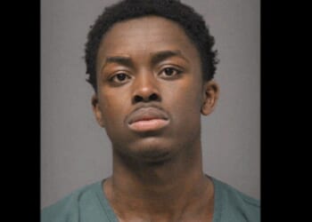 Thug attacks mother walking her toddler in stroller, cops say; 10 days later — on Thanksgiving — he's accused of even worse