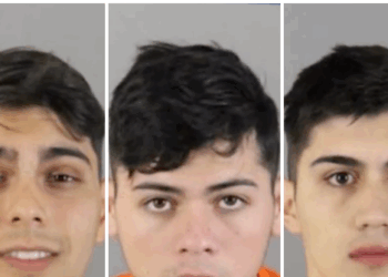 Trio of Chilean Illegals Accused of Burglarizing Wealthy Americans in Wisconsin