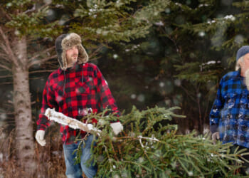 Trump Administration Launches Holiday 'One Dollar, One Tree' Effort