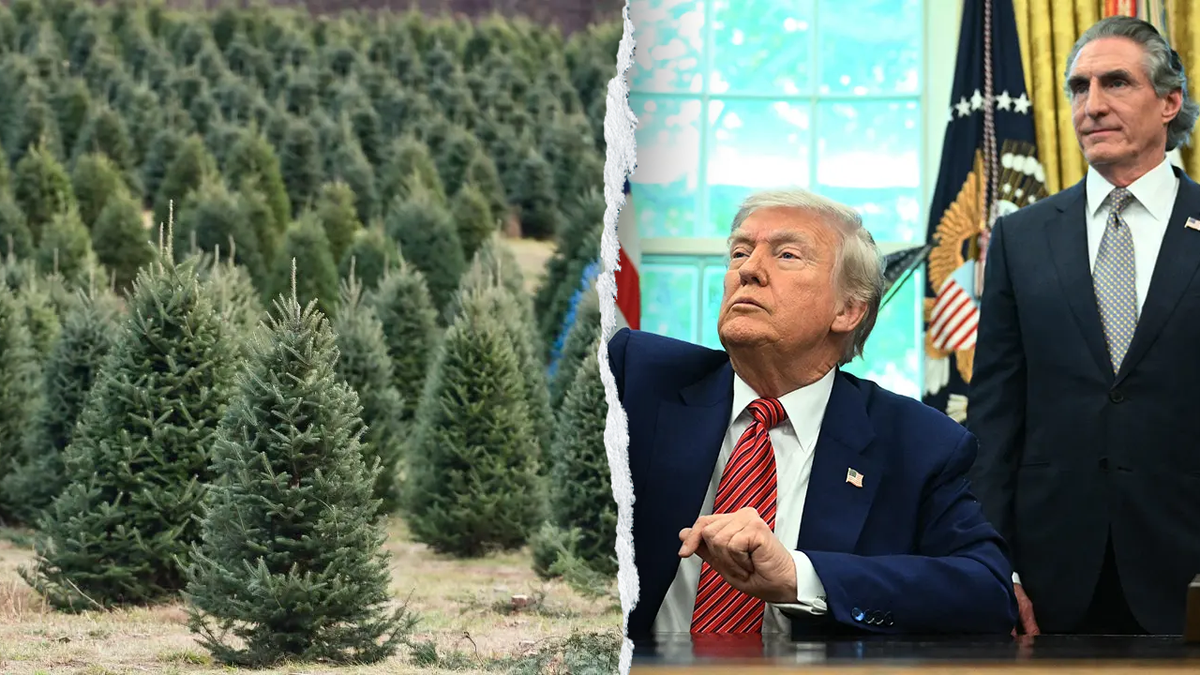 Christmas trees aside from President Donald Trump and Interior Secretary Doug Burgum