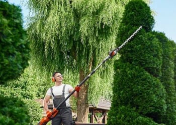 Trump's Migration Policy Threatens Nation's Shrubbery