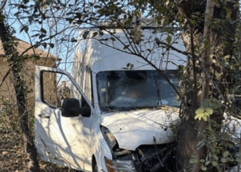 Two Illegal Aliens Accused of Trying Hit ICE Officers with Van in Maryland