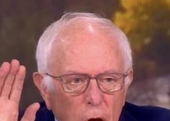 We Need to Slow AI Down with Possible Moratorium on Data Centers