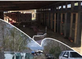 Dozens Flee as Texas Deputies Raid Suspected Cockfighting Ring near Houston; Hundreds of Birds Seized