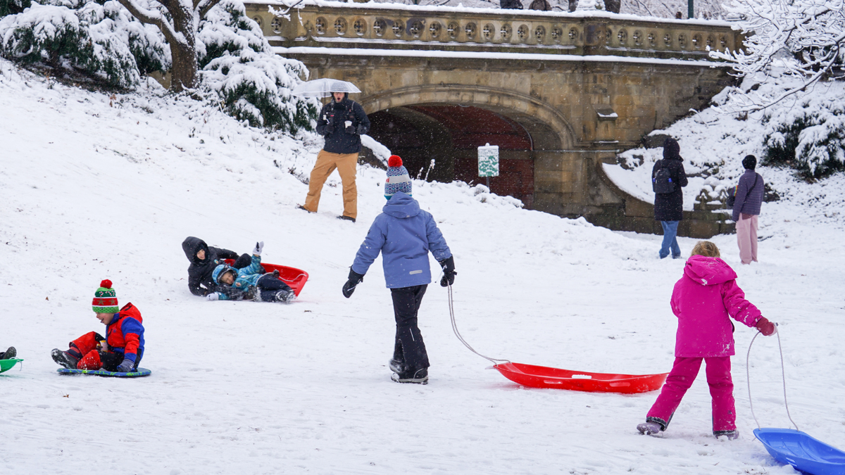 Children are seen playing in the snow in New York City's Central Park.