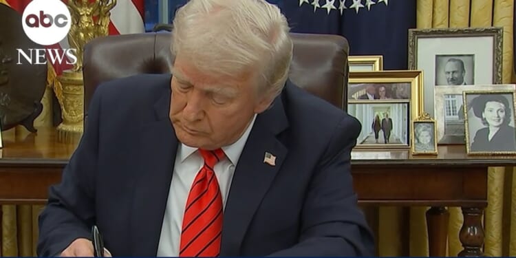 Top 5 funniest Trump moments of 2025