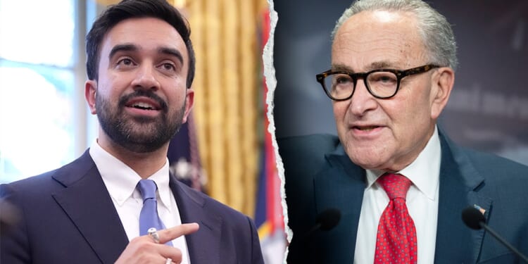 Schumer stays quiet as NYC Mayor Mamdani revokes antisemitism definition, synagogue security