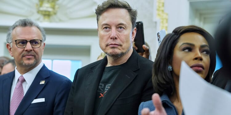 Elon Musk declares 'war' after TikToker appears to threaten his life