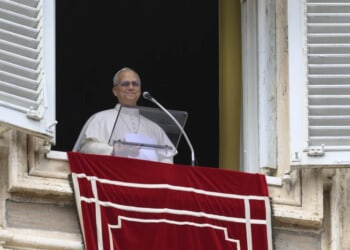 Pope says Christian hope doesn’t depend on human calculations
