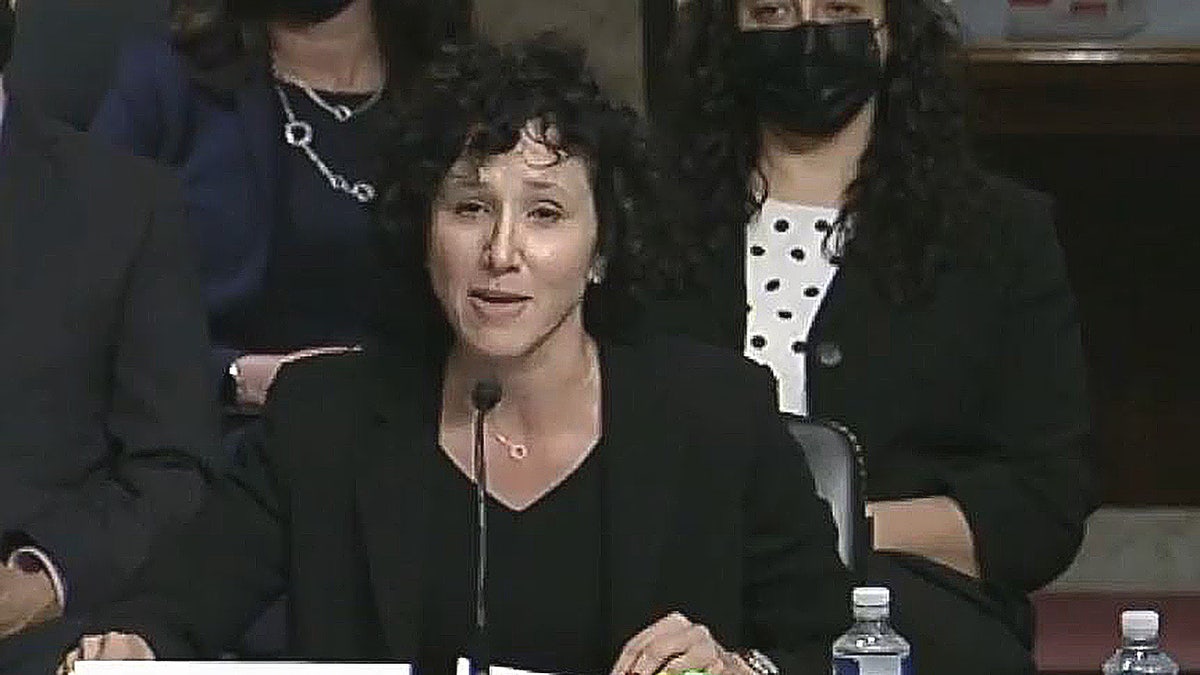Deborah Boardman speaking to Congress