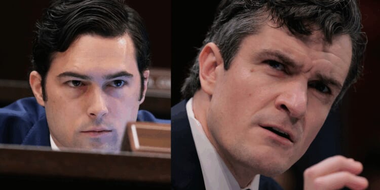 VIDEO: Texas Republican brutalizes Democrat witness arguing that large-scale Somali immigration has strengthened Minnesota